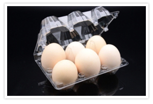 Egg Tray